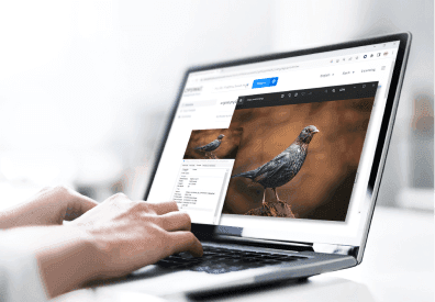 OPSWAT Update – February 2023